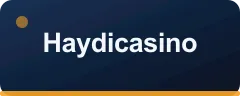 Haydicasino