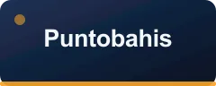 Puntobahis